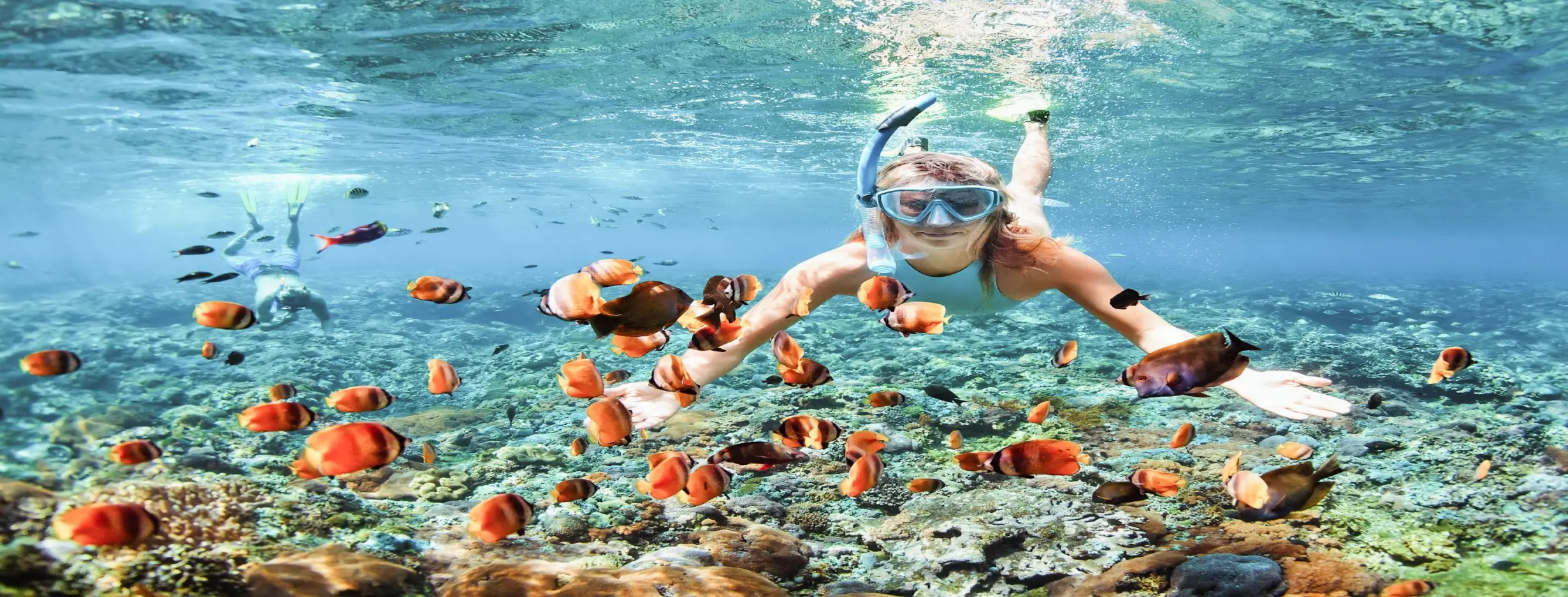 Image for Snorkeling Adventure